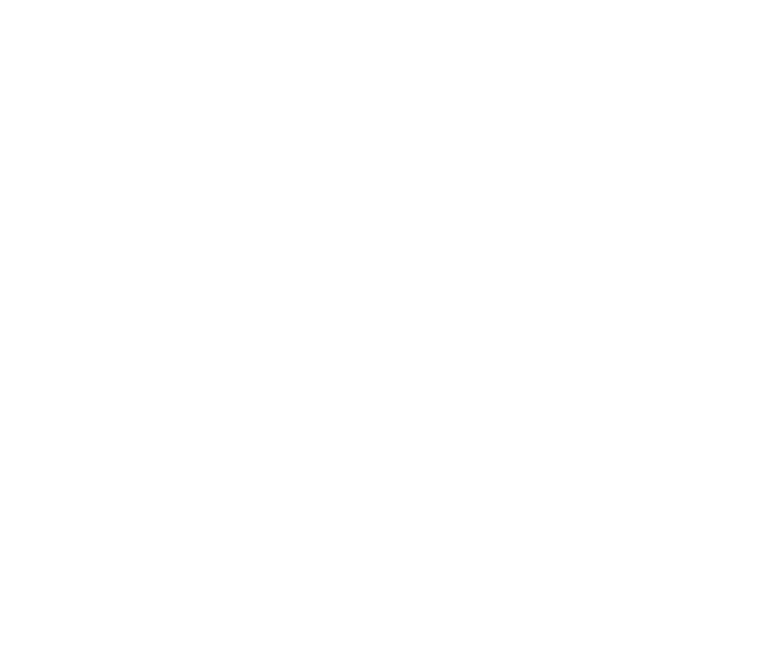 Imperfect CEO